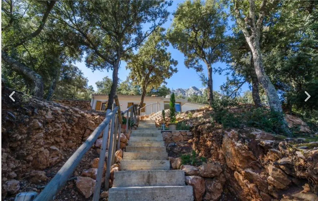 Sa Talaia Villa Lluc
